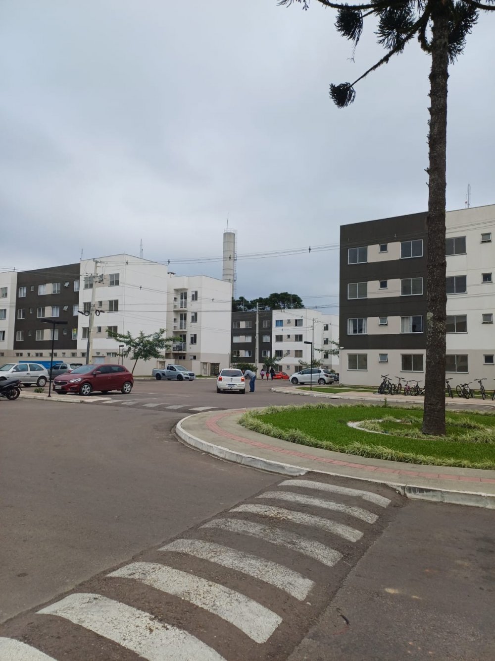 Apartamento - Venda - Jardim Itaqui - Campo Largo - PR