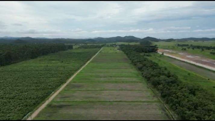 rea - Venda - Centro - Navegantes - SC