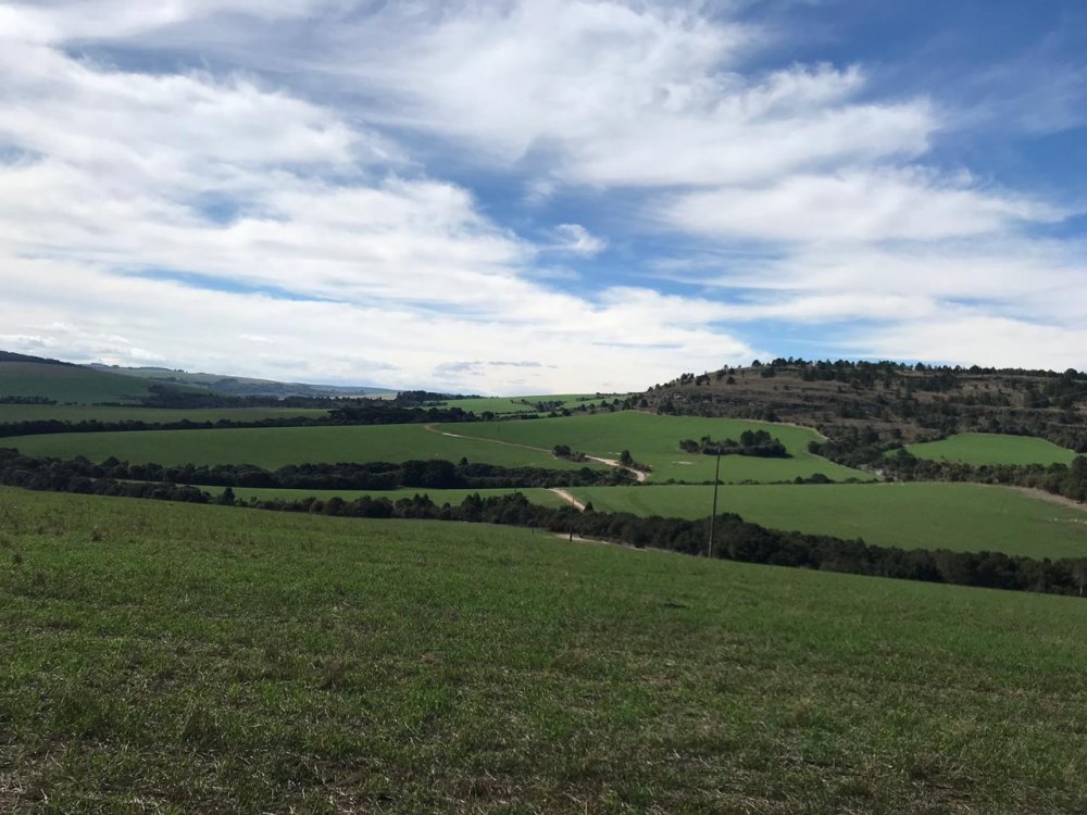 Fazenda - Venda - rea Rural de Ponta Grossa - Ponta Grossa - PR