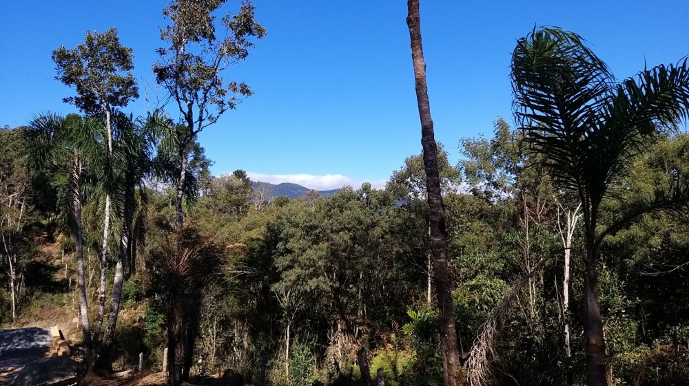 Chcara - Venda - Rural - Quatro Barras - PR