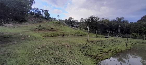 Fazenda - Venda - Zona Rural - Campina Grande do Sul - PR