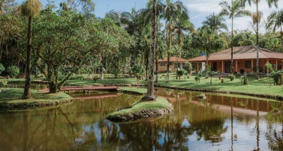 Chcara - Venda - Morretes - Morretes - PR