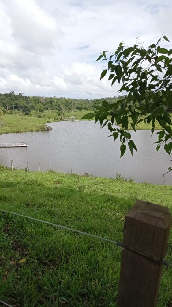 Fazenda - Venda - Rural - Camamu - BA