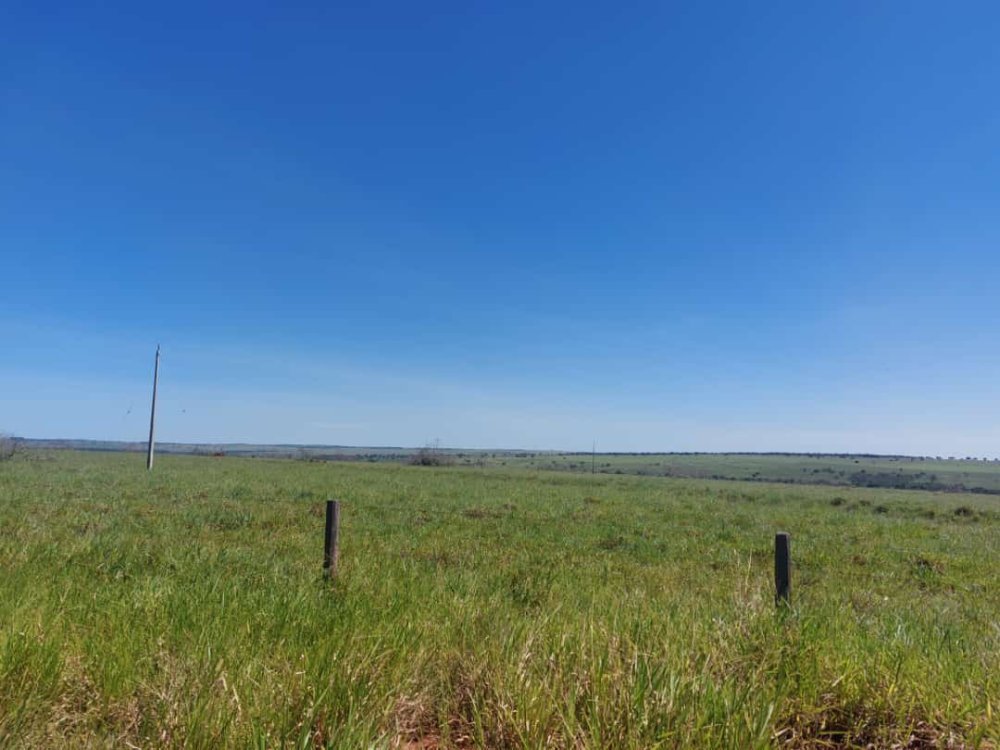 Fazenda - Venda - Figueiro Velho - Figueiro - MS
