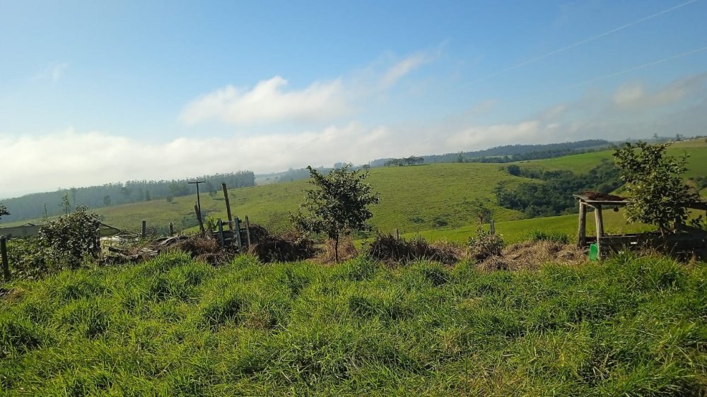 Fazenda - Venda - Rural - Ibaiti - PR