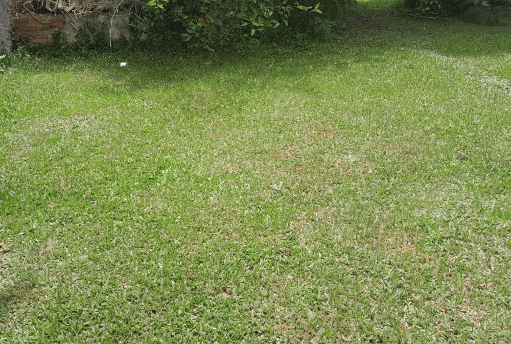 Terreno - Venda - Jardim Paulista - Campina Grande do Sul - PR