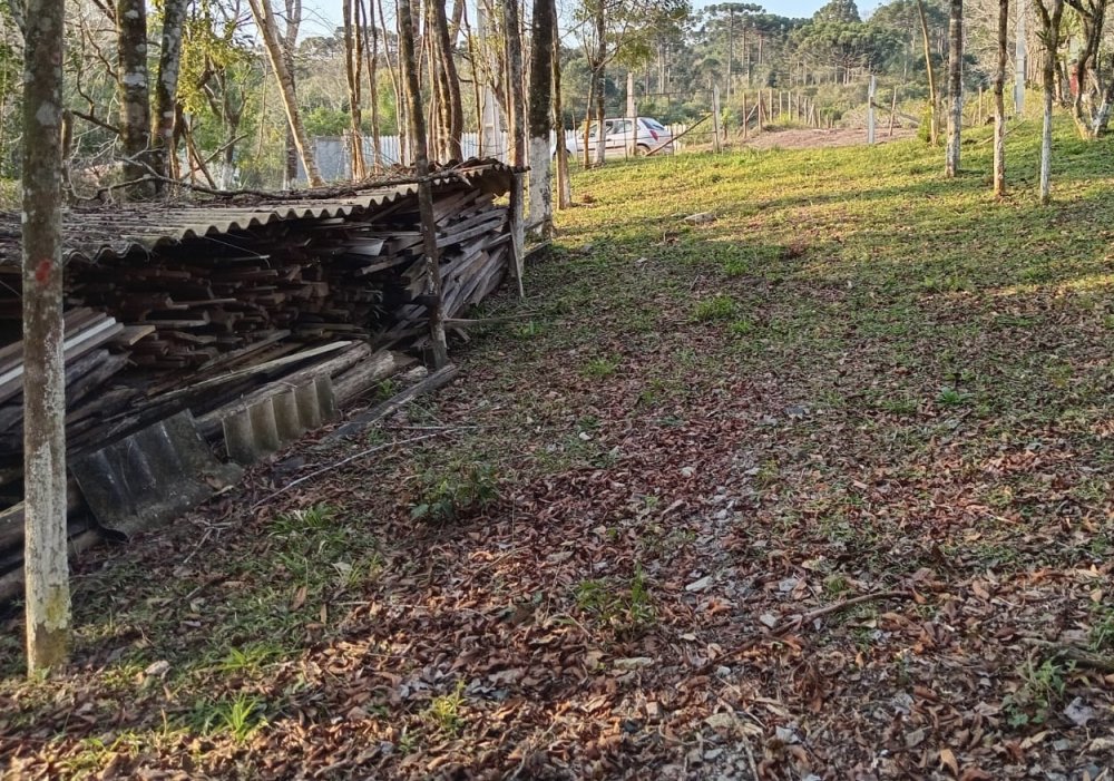 Chcara - Venda - Rio Abaixo - Campina Grande do Sul - PR