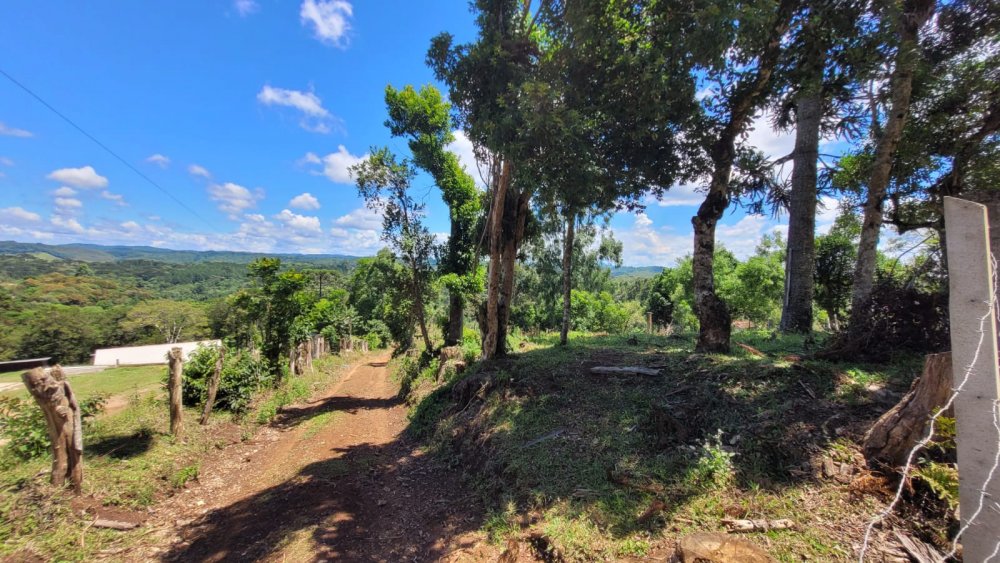Chcara - Venda - Zona Rural - Campina Grande do Sul - PR