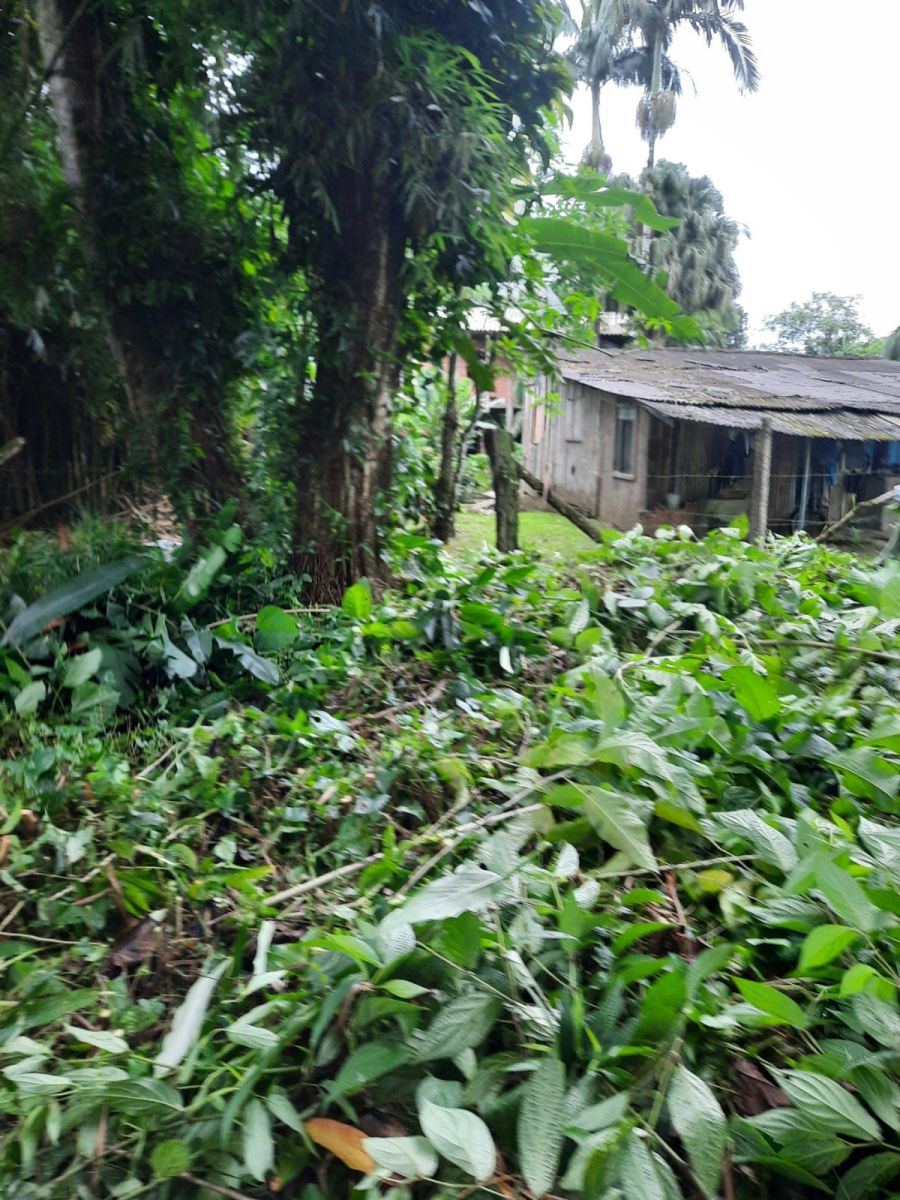 Terreno - Venda - Morrertes - Morretes - PR