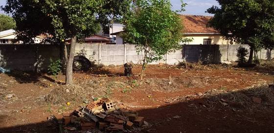 Terreno - Venda - Chapada - Ponta Grossa - PR