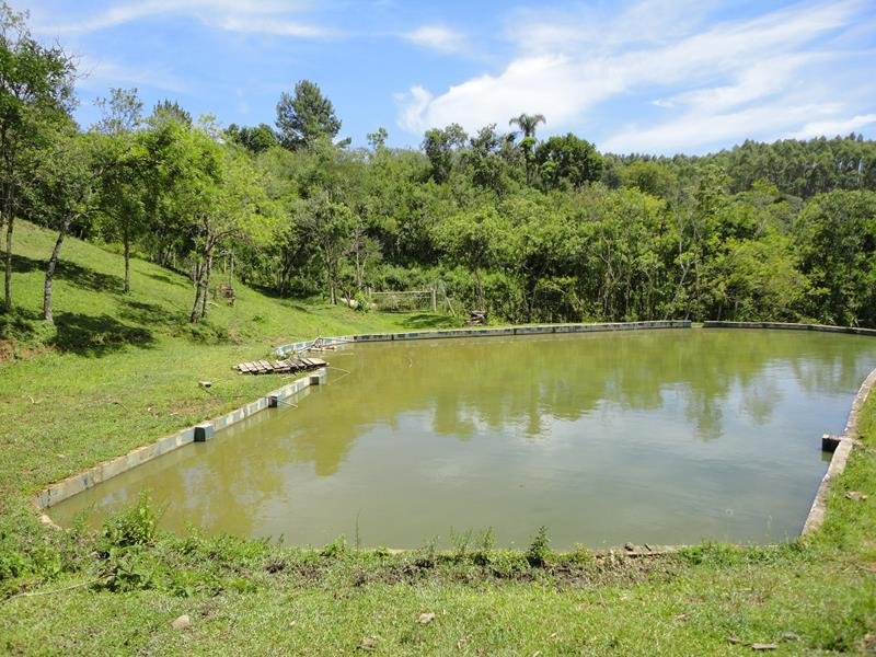 Chcara - Venda - Rural - Bocaiva do Sul - PR