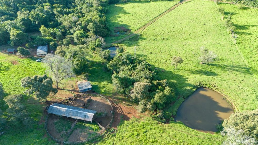 Fazenda - Venda - Bela Vista - Nova Tebas - PR