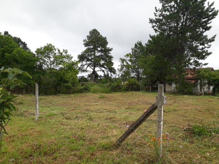 Terreno - Venda - Jardim Santa Rosa - Campina Grande do Sul - PR