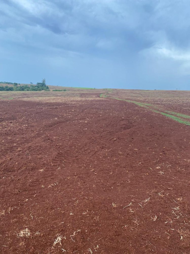 Fazenda - Venda - Rural - Chupinguaia - RO