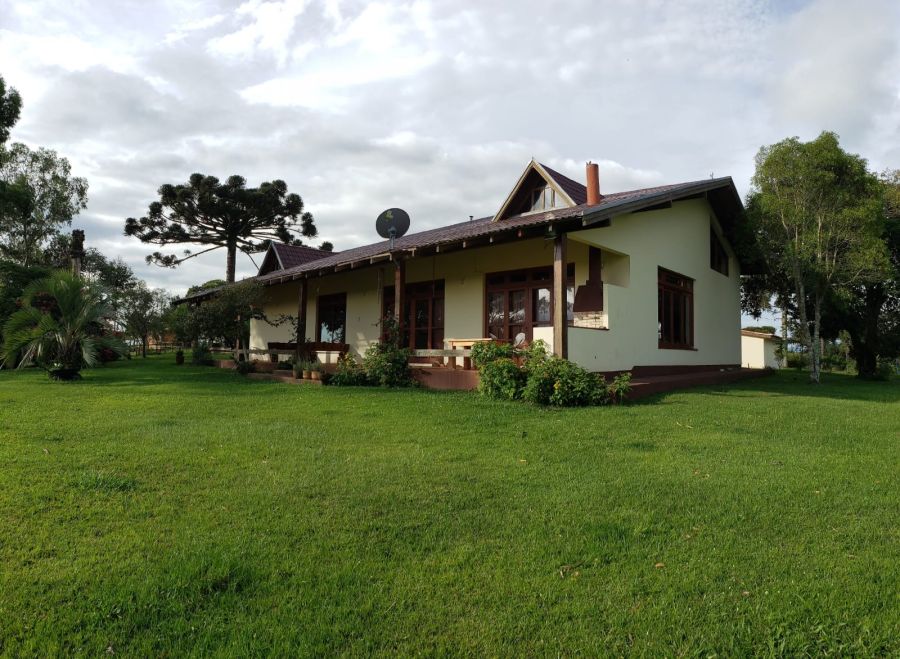 Fazenda - Venda - Rural - Palmeira - PR