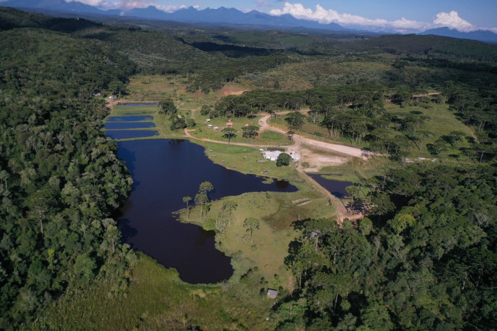 Rural - Venda - Rural - Bocaiva do Sul - PR