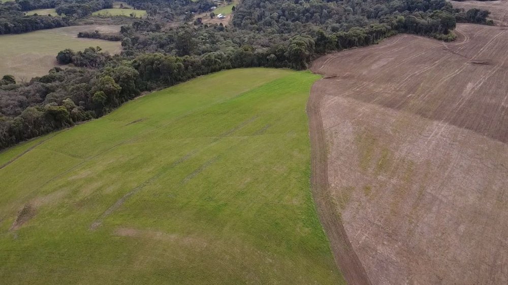 Fazenda - Venda - Rural - Pinho - PR