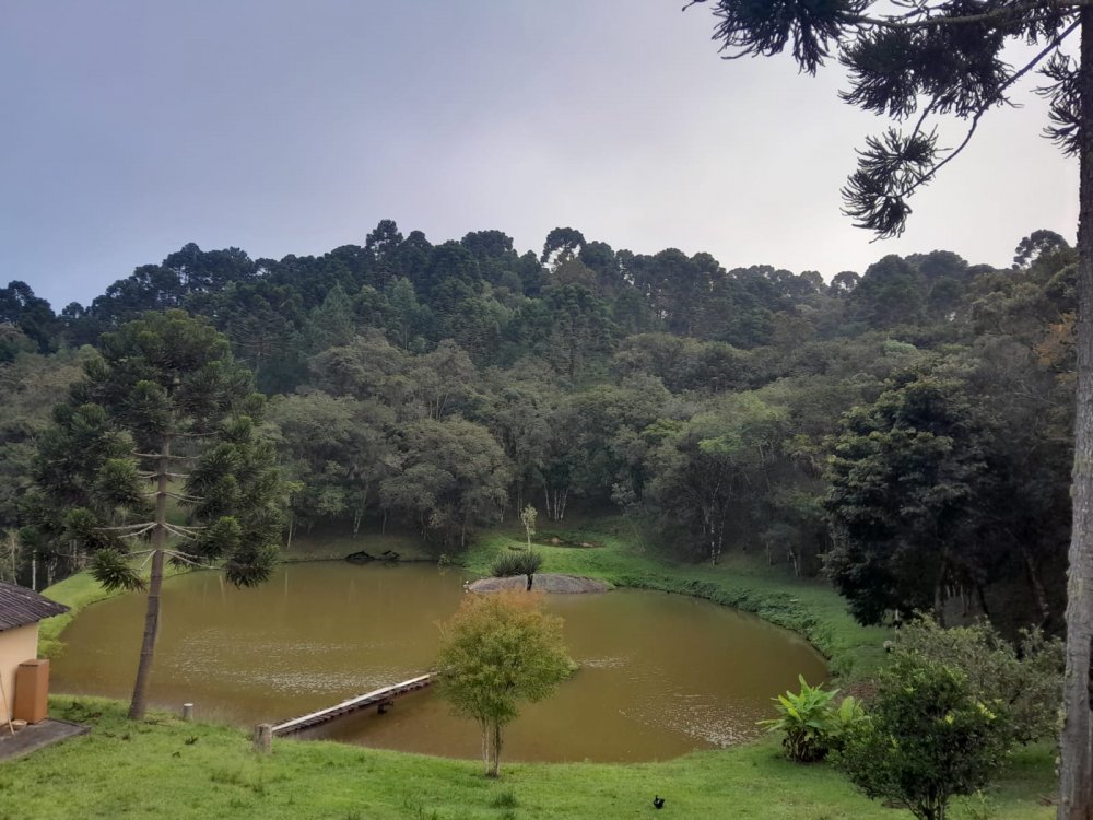 Chcara - Venda - Rural - Bocaiva do Sul - PR