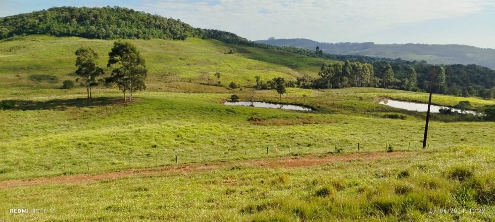 Fazenda - Venda - Rural - Prudentpolis - PR