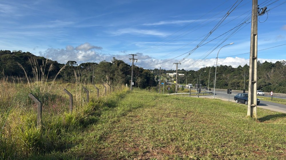 rea - Venda - Industrial - Campina Grande do Sul - PR