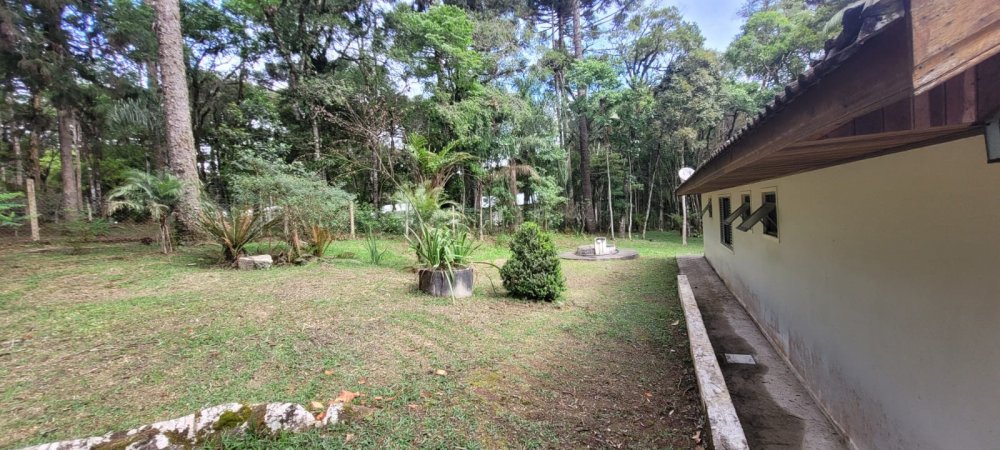 Casa - Aluguel - Borda do Campo - Quatro Barras - PR