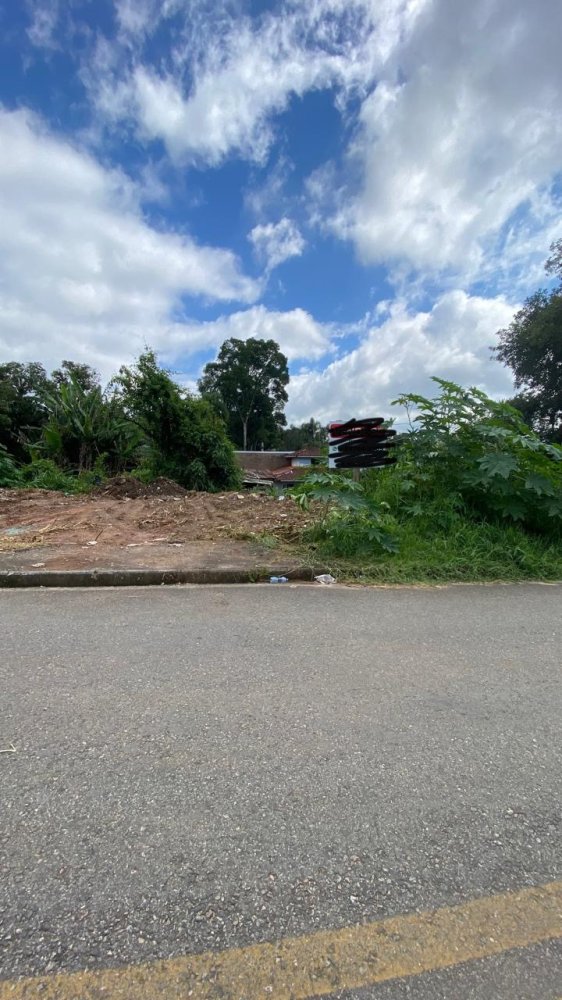 Terreno - Venda - Timbu - Campina Grande do Sul - PR