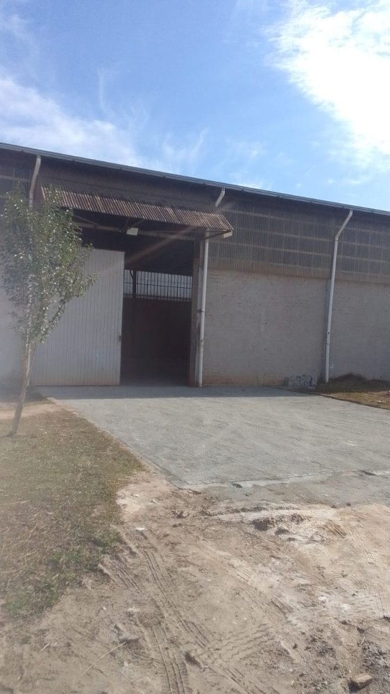 Barraco - Aluguel - Naes - Fazenda Rio Grande - PR