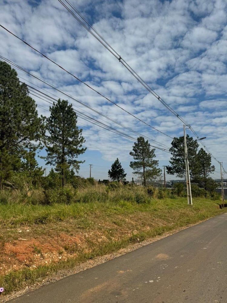 Terreno - Venda - So Dimas - Colombo - PR