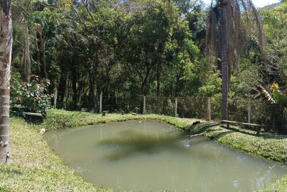 Chcara - Venda - Santana - Rio Branco do Sul - PR