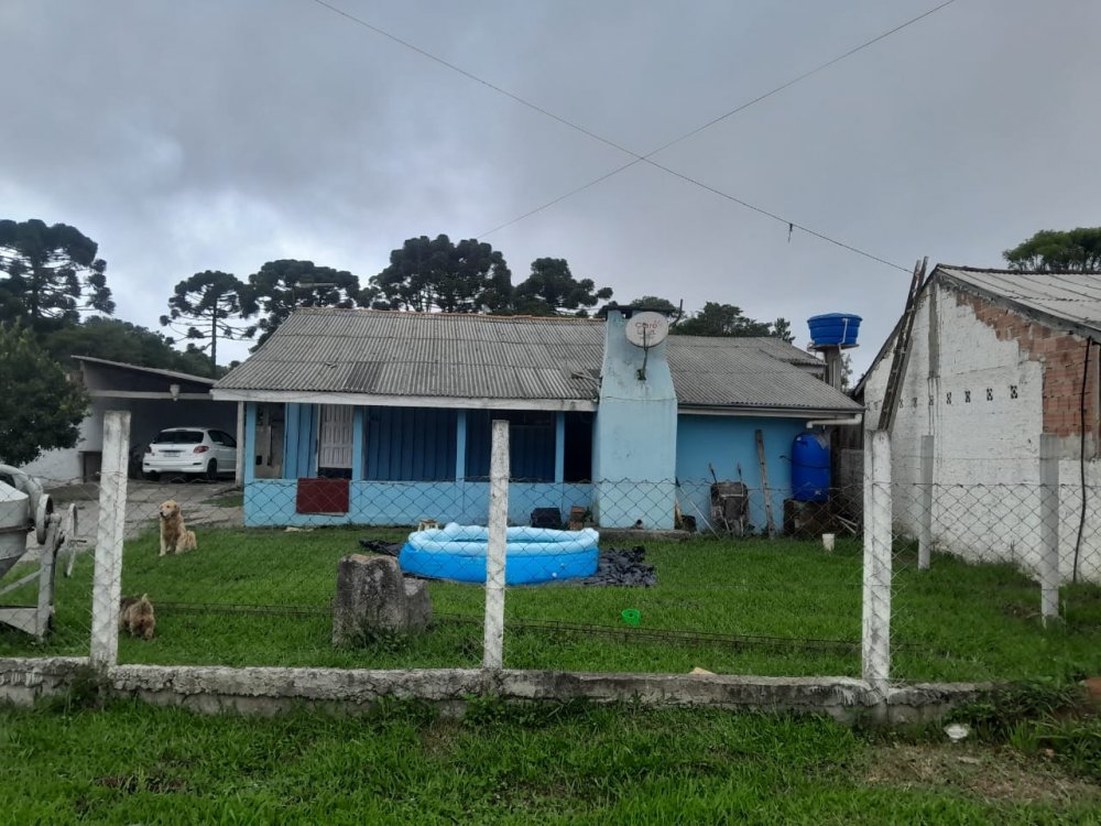 Terreno - Venda - Borda do Campo - Quatro Barras - PR