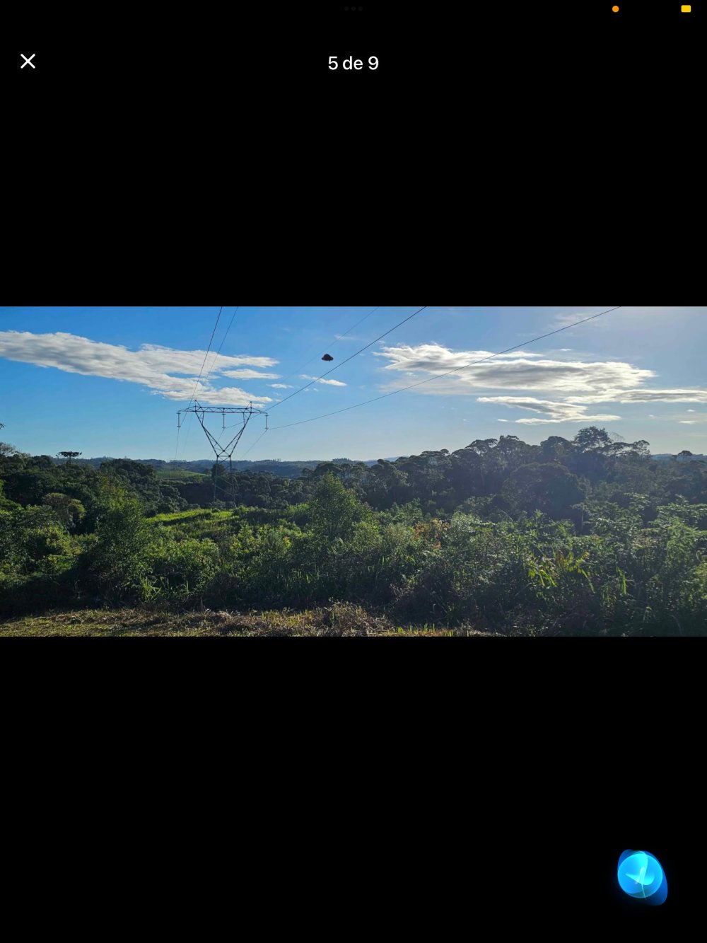 Chcara - Venda - Rural - Campina Grande do Sul - PR