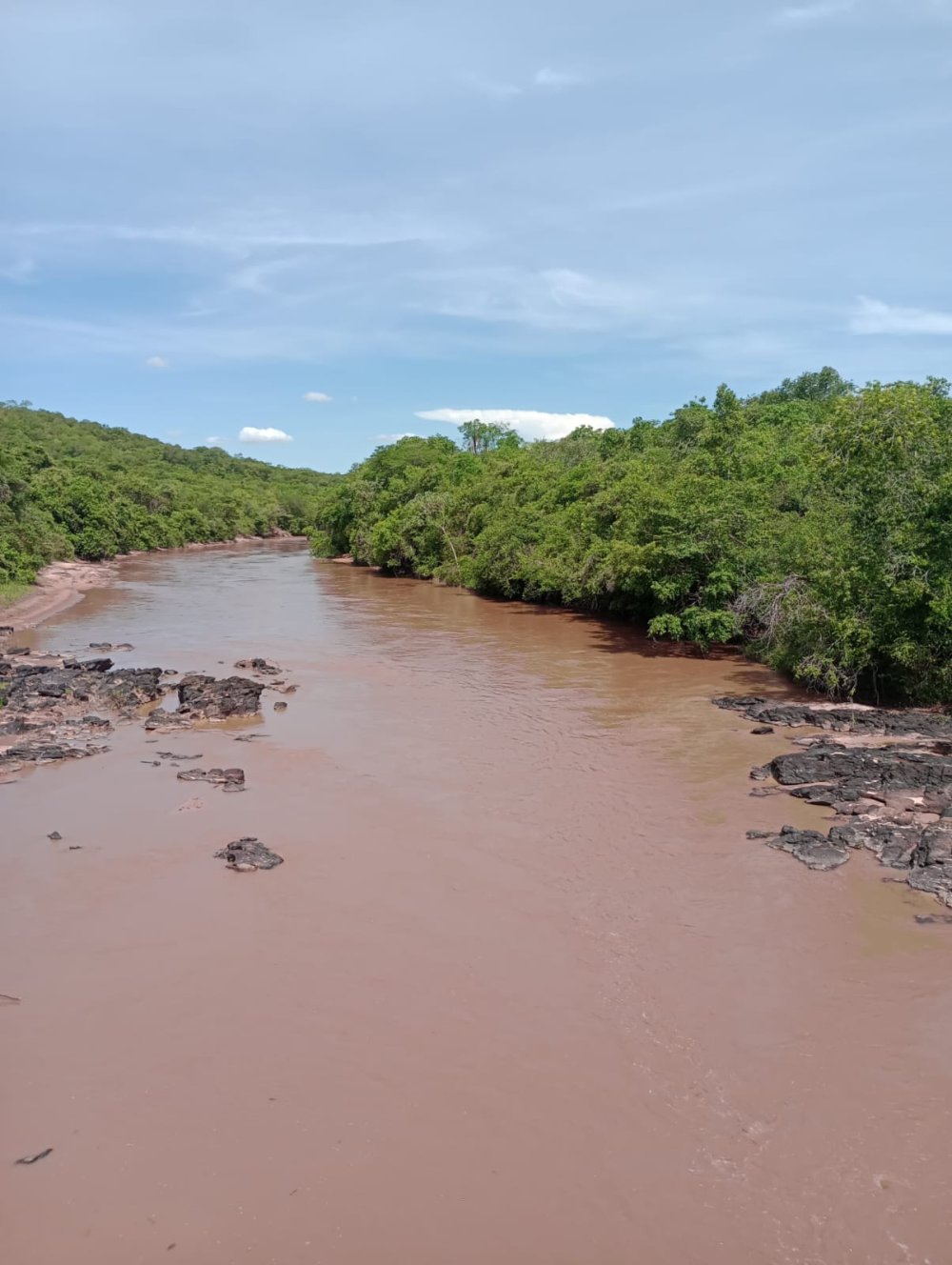Fazenda - Venda - Rio Verde - Ribas do Rio Pardo - MS