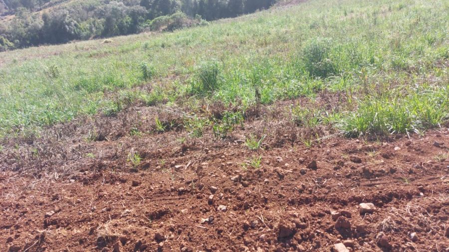 Fazenda - Venda - Rural - Goioxim - PR