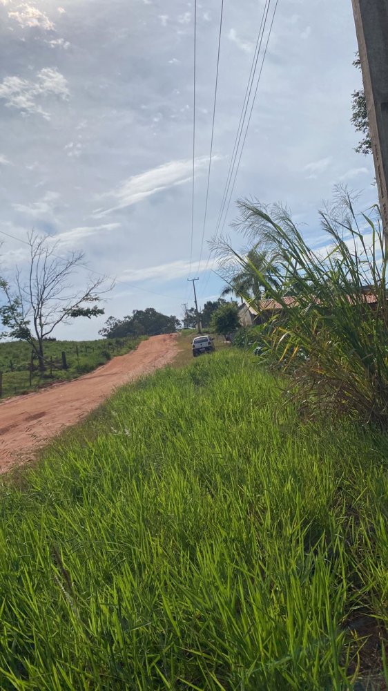 Fazenda - Venda - Maria Helena - Cruzeiro do Oeste - PR