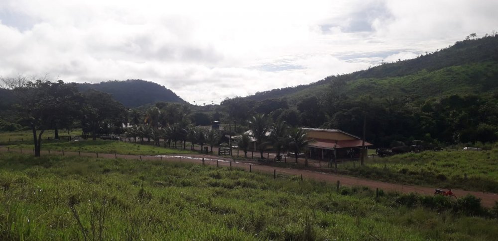 Fazenda - Venda - Rural - So Flix do Xingu - PA