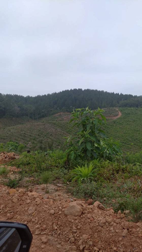 Fazenda - Venda - Centro - Cerro Azul - PR