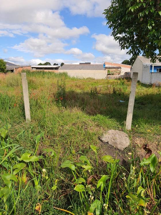 Terreno - Venda - Vila Mariana - Piraquara - PR
