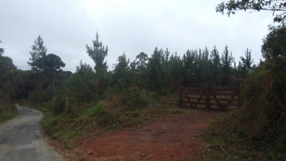 Fazenda - Venda - Rural - Cajati - SP