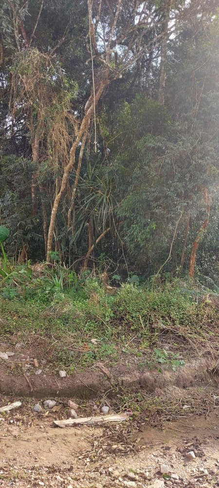 Terreno - Venda - Guaraituba - Colombo - PR