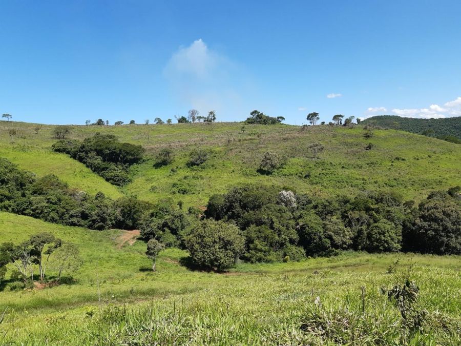 Fazenda - Venda - Rural - Pitanga - PR