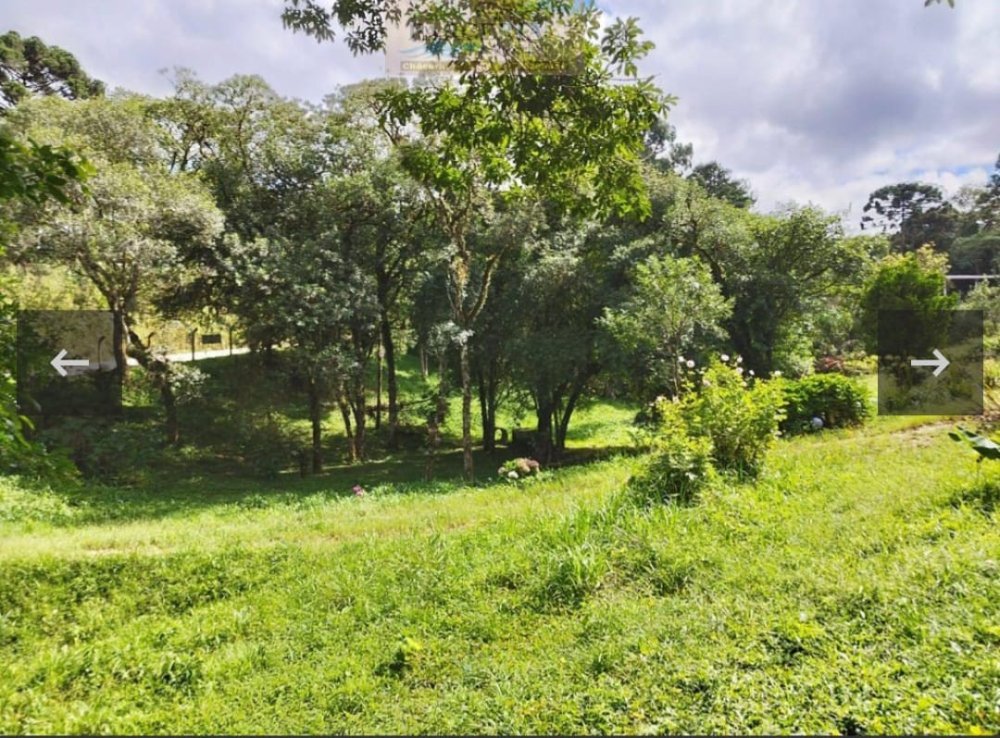 Chcara - Venda - Centro - Piraquara - PR