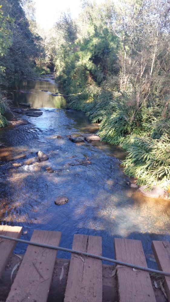 Fazenda - Venda - Rural - Goioxim - PR