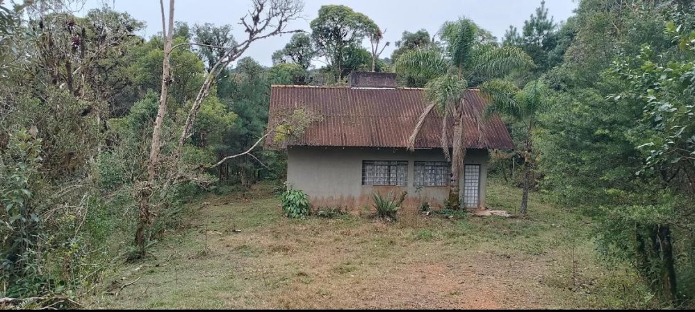 Chcara - Venda - rea Rural de So Jos dos Pinhais - So Jos dos Pinhais - PR