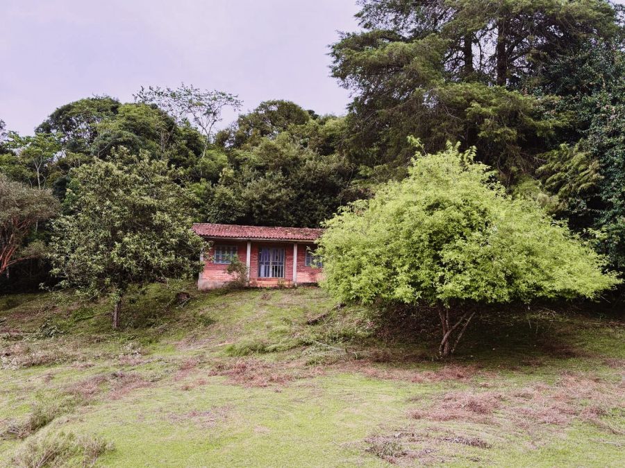 Chcara - Venda - Olhos D'gua - Campina Grande do Sul - PR