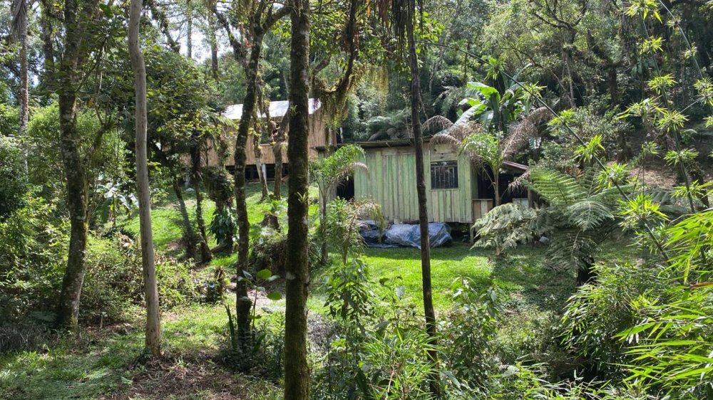 Chcara - Venda - Rural - Campina Grande do Sul - PR
