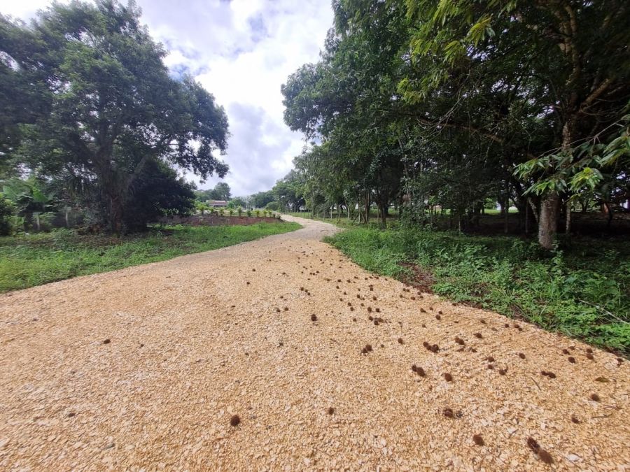Chcara - Venda - Araatuba - Campina Grande do Sul - PR