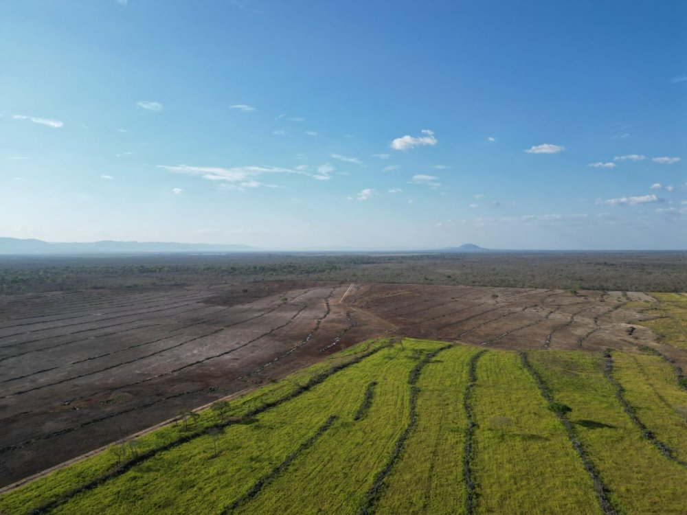 Fazenda - Venda - Rural - Camaari - BA