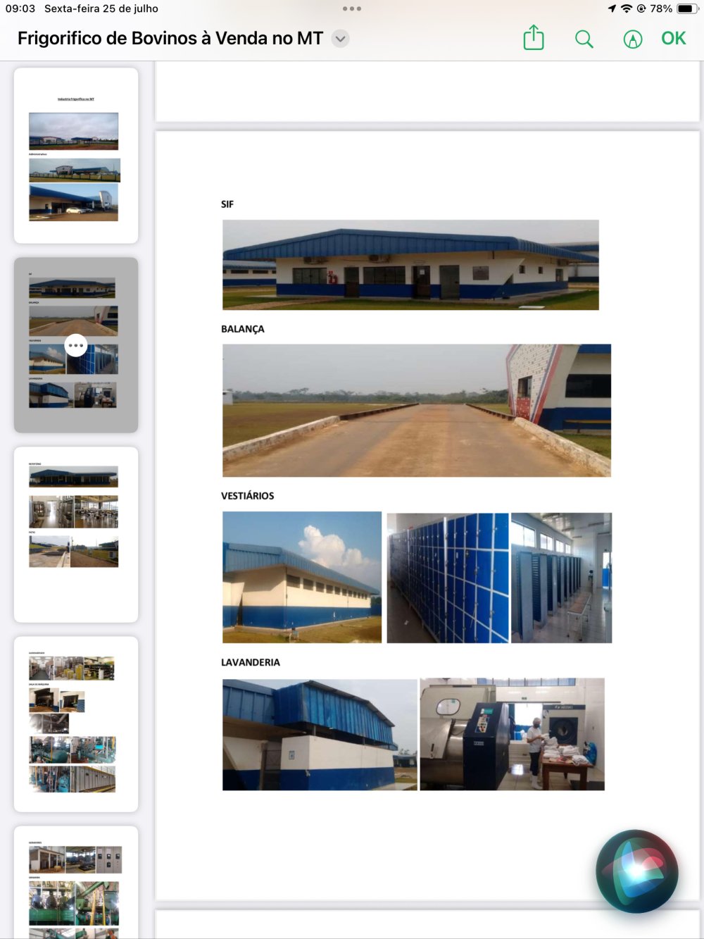 Imvel Comercial - Venda - Rural - Pontes e Lacerda - MT
