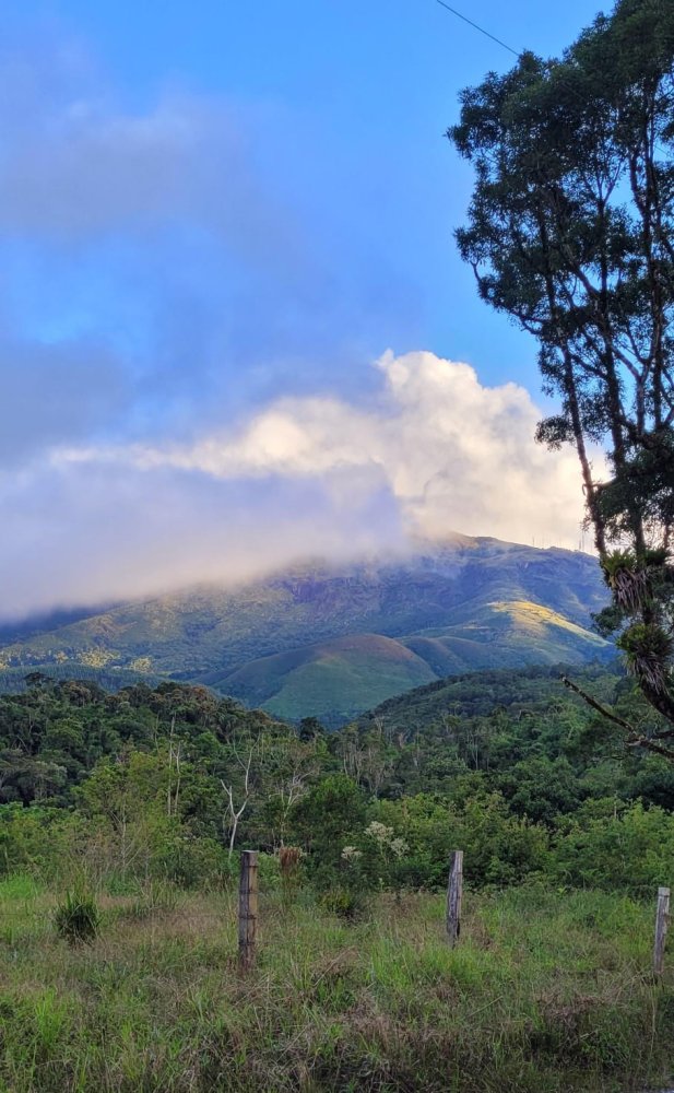 Chcara - Venda - Centro (ribeiro Grande) - Campina Grande do Sul - PR