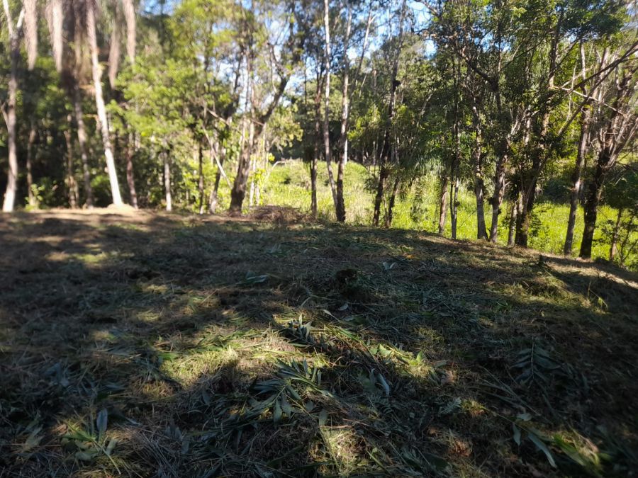 Chcara - Venda - Rural - Antonina - PR